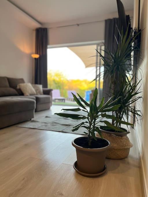 Quinta Da Alfarrobeira Peaceful Countryside Stay Dystrykt Dystrykt Faro Zewnętrze zdjęcie