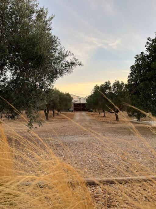 Quinta Da Alfarrobeira Peaceful Countryside Stay Dystrykt Dystrykt Faro Zewnętrze zdjęcie