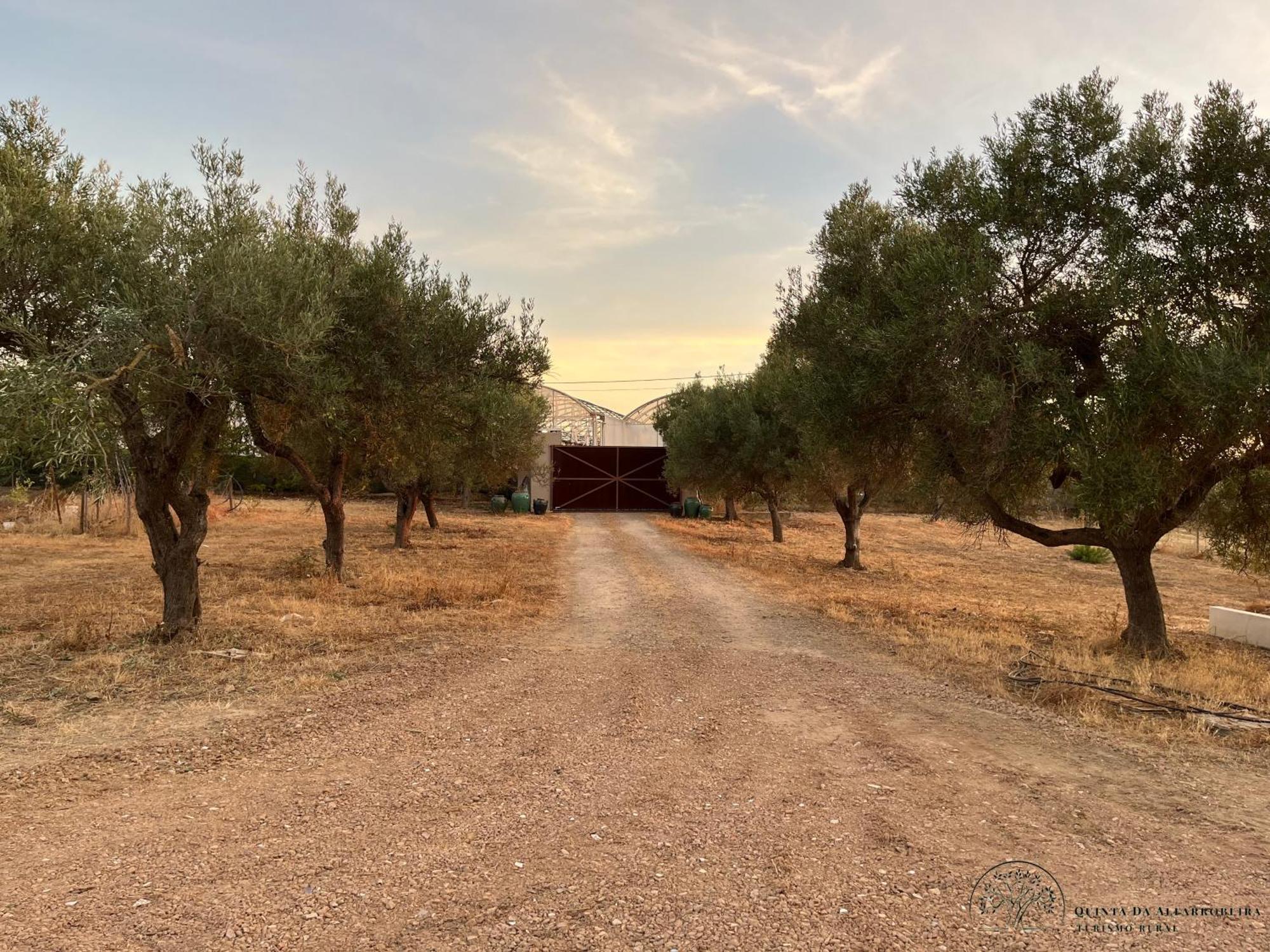 Quinta Da Alfarrobeira Peaceful Countryside Stay Dystrykt Dystrykt Faro Zewnętrze zdjęcie